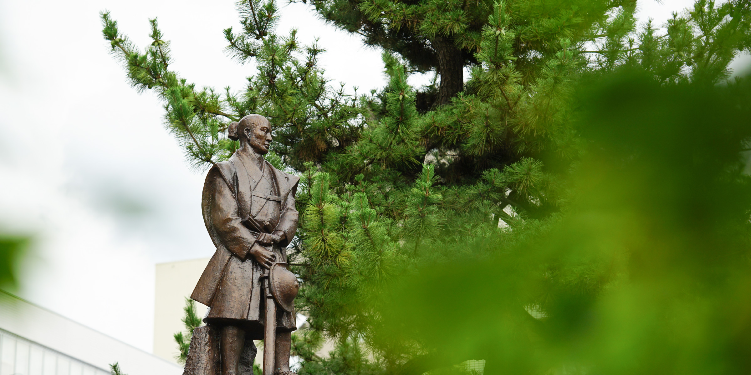 歴史